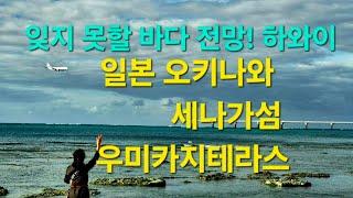 오키나와 하와이/ 나하공항/인기있는 관광지 세나가섬 우미카지테라스#생애 최초 해외여행#가족여행