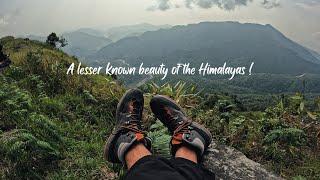 The Nest Farmstay & Samthar | Two Lesser Known Beauties of the Himalayas