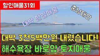 (할인매물31회)대박할인매물 급매 해수욕장이 앞마당 계획관리지역 토지 (일등부동산티비)