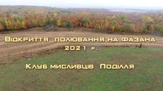 Відкриття полювання на фазана. 1ч. 2021 рік Клуб мисливців Поділля ▶ Трофейне Полювання №86 ▶ Трофей