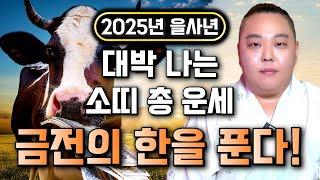 2025년 소띠운세, 을사년 재물과 성공의 기운이 몰려온다! 인생을 바꿀 기회가 찾아오는 '2025년 대박나는 소띠운세!' 49년생 61년생 73년생 85년생 소띠 운세 서울점집