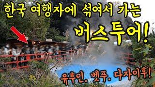 일본인 나 혼자! 한국 여행자에 섞어서 함께 가는 유후인 벳푸 다자이후 버스투어!/ 후쿠오카 여행