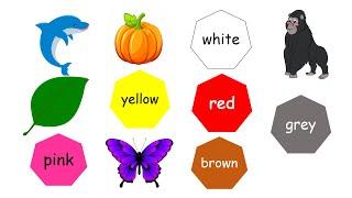 Colors in English. Learn colors with objects.