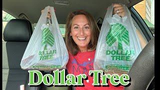 NEVER SEEN BEFORE! Dollar Tree Haul | Name Brand Items, Best DUPES, Practical Jokes & CODE ORANGE!