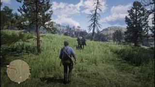 RDR2 #56 (family building a house)