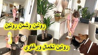 صباح ديال تخمال ورغاوي لي فيا مهناني #نت خملت دار🫡حضرت سمك باظريقة سهلة ياسلام 