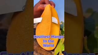 E mango yake Estondu Costly #kannada #kannadafacts #mango