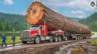 Amazing Fastest Big Tree Cutting Machines | Dangerous Tree Harvester Stump Destroy Machines #34