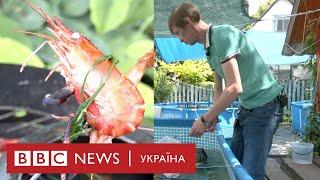 Чи зможе Україна завалити Європу креветками