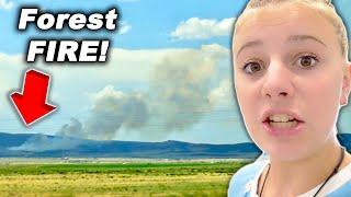 NO....Not Another Forest FIRE!