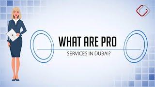 What are PRO services in Dubai