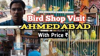 Exotic Birds Shop Visit, Ahmedabad (Gujarat) | Budgies, Love Birds, Conure, Sun Conure, Pigeons