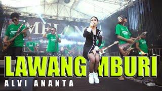 Alvi Ananta - Lawang Mburi (Versi Koplo) (Official LIVE)