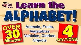 Learn the Alphabet! Animal Names, Fruit & Vegetable Names, and Many More! Over 30 Minutes 4 Sections