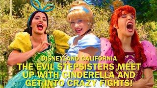 The Evil Stepsisters Meet Up with Cinderella and Get Into Crazy Fights at Disneyland! #disney