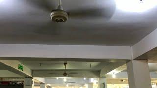 Ceiling Fans and Floor/Wall/Orbital Fans at L&R (2nd)