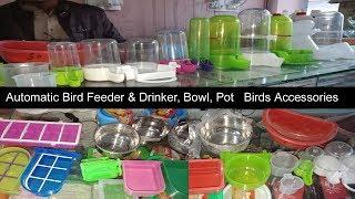 Automatic Bird Feeder & Drinker, Bowl, Pot, Birds Accessories For Sale in Multan Pakistan