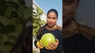 Aaj Maine fresh sabji harvest ki Apne kitchen garden se 14 December 2024