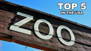 Top US Zoos: A Wild Adventure