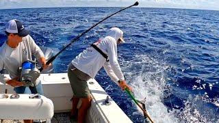 Commercial Fishing For WAHOO