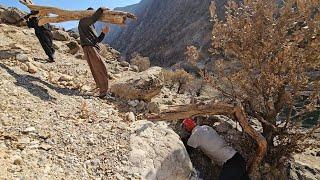 Collecting Firewood & Fishing by the Riverside  | Salahadin's Day