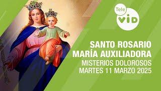 Santo Rosario a María Auxiliadora Martes 11 Marzo de 2025  Misterios Dolorosos #TeleVID