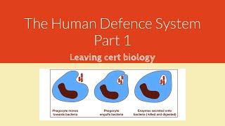 General Defence System-Part 1- Leaving Cert Biology