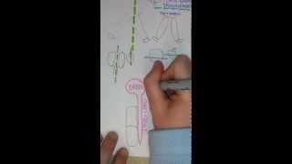 Sections, Cavities, and Quadrants