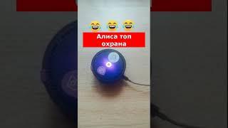 Алиса топ охрана лучшие приколы 2022 /  алиса топ #shorts