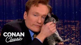 Animal Expert Clyde Peeling: Chinchilla & Black-Headed Python | Late Night with Conan O’Brien