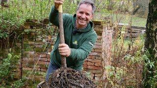 Kompostierung im Hausgarten | Teil 2