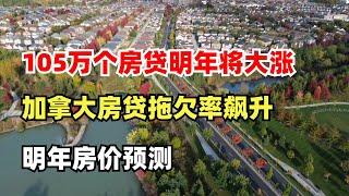 105万人房贷明年大涨，房贷拖欠率飙升，Top 1%的收入门槛，明年房价预测