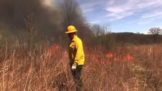 Prescribed Burn