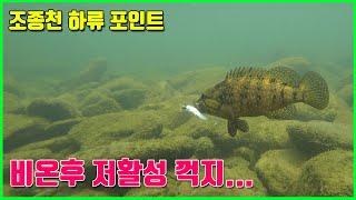 가평 조종천 비오고 바람불고~  꺽지는 어디 숨은건가요? (꺽지낚시.수중영상.underwater fishing)