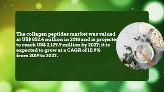 Collagen peptides Market is Projected to Reach US$ 2,129.9 Million by 2027