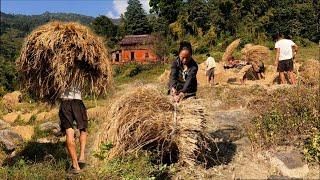 The Essence of Life in Nepali Villages | Hardworking Mountain Village People | BijayaLimbu