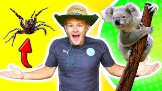 THIS or THAT Kids WORKOUT: 'Creatures of Australia' edition