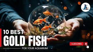 Top 10 Goldfish Varieties for Your Aquarium Beginner-Friendly Picks! #goldfish #fish #viralvideo