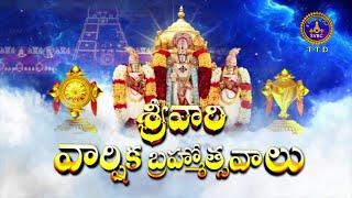 Shrivari Brahmotsavalu-2024 || Tirumala || Srivari Varshika Brahmotsavalu-2024 || Tirumala ||SVBCTTD