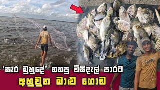 Big Catch! Thrilling Cast Net Fishing in Sea, Sri Lanka