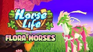 Horse Life  Flora Horses 