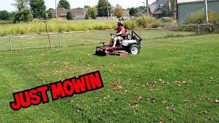 Mowing Lawn Care Vlog