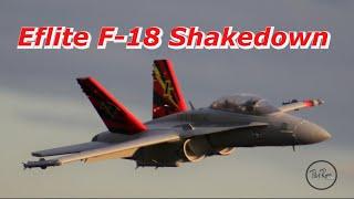 E-flite F-18 80mm Shakedown Flights