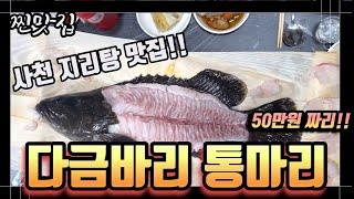 50만원찌리 자연산 다금바리!! 사천 최고의 지리탕 밋집에서 다금바리 지리탕까지!! 사천오시면 들려 인생지리탕 경험해보세요 #사천맛집 #스쿠버회해물탕 #다금바리 #지리탕 #맛집