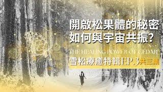  開啟松果體的秘密 雪松療癒特輯 EP.3  Unlocking the Secrets of the Pineal Gland| 雪松的神聖訊息，如何與宇宙共振？