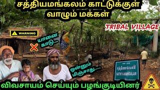 சத்தியமங்கலம் காட்டுக்குள் இப்படியும் ஒரு கிராமமா !!kottadai tribal village|dhimbam|germalam