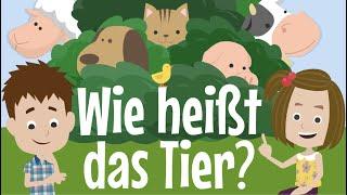 Children's song Animals & Animal Sounds - What's the name of the animal? - BlauBlau Kinderlieder