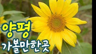 #양평 가볼만한곳 #내추럴가든카페#들꽃수목원#힐링여행 아름다운정원을 보는것만으로힐링이되는곳 꼭가보세요 a good place to visit in Yangpyeong,Korea