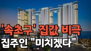 서울시 속초구 집값 비극. 집주인들 "미치겠다" 아우성. 눈물의 속초 부동산