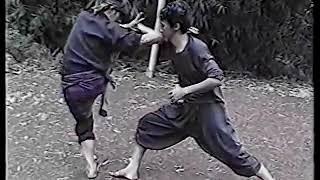 Pencak silat techniques